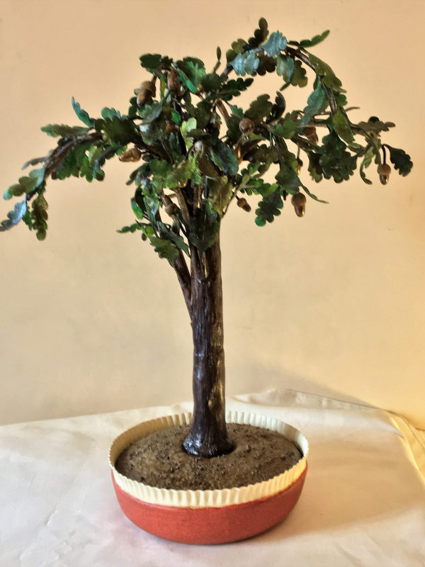 Bonsai quercia cod241